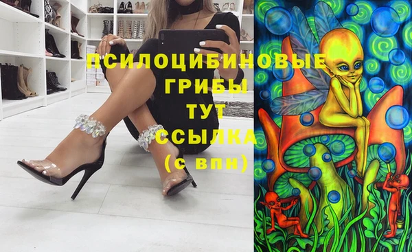 spice Липки